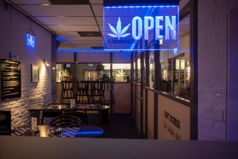 Legal Cannabis in New Jersey: The New Opportunities