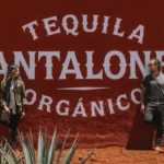 Pantalones Organic Tequila Executive Team