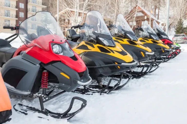 Snowmobile Powersports Industry